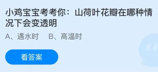 山荷叶花瓣在哪种情况下会变透明？蚂蚁庄园课堂今天答案最新6月26日