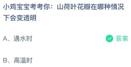山荷叶花瓣在哪种情况下会变透明？蚂蚁庄园课堂今天答案最新6月26日