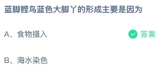 蓝脚鲣鸟蓝色大脚丫的形成主要是因为什么？蚂蚁庄园课堂今天答案最新6月30日