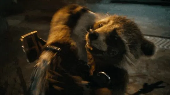 漫威新电影《银河护卫队3》将揭开火箭浣熊悲惨身世