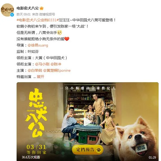 《忠犬八公》原型是什么狗  《忠犬八公》狗狗是什么品种