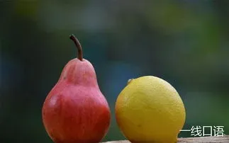 pear是什么意思 pear是什么意思英语怎么读音