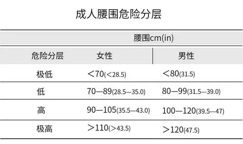 体脂率计算公式 体脂率计算公式及标准