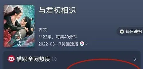 2023年无忧渡几号播出 电视剧无忧渡全集在线观看免费版