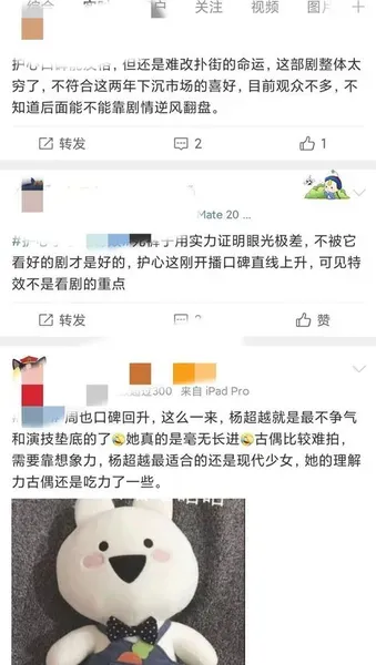 护心到底播不播了 护心电视剧