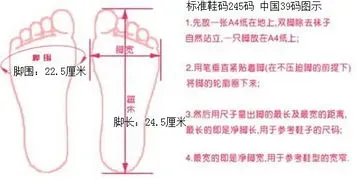 260鞋码是多大码 260鞋码是多大码男鞋