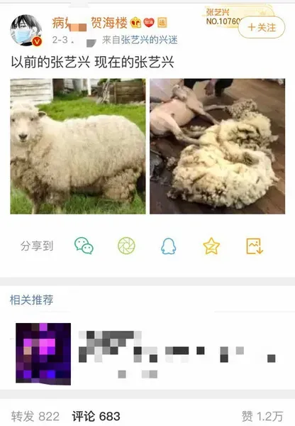 薅羊毛是什么意思 薅羊毛是什么意思啊