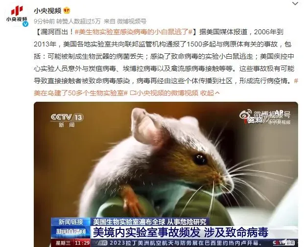 美实验室小白鼠跑了几只 美生物实验室感染病毒的小白鼠逃了