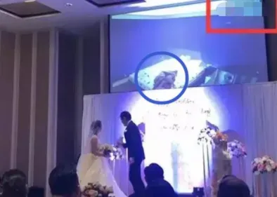 网红王钟瑶5分37秒视频被曝光，王钟瑶婚礼事件详解