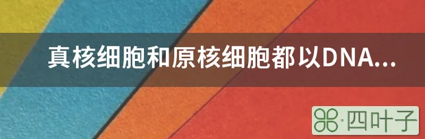 真核细胞和原核细胞都以DNA为遗传物质？