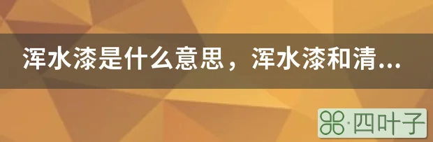 浑水漆是什么意思，浑水漆和清水漆的区别