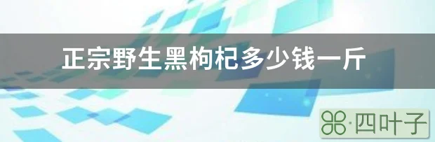 正宗野生黑枸杞多少钱一斤