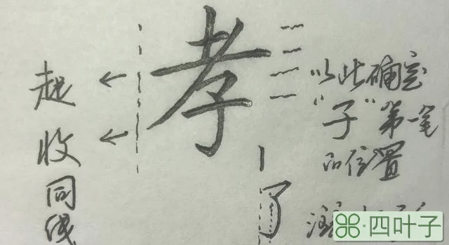 写这些字时，你是否也有这样的问题？