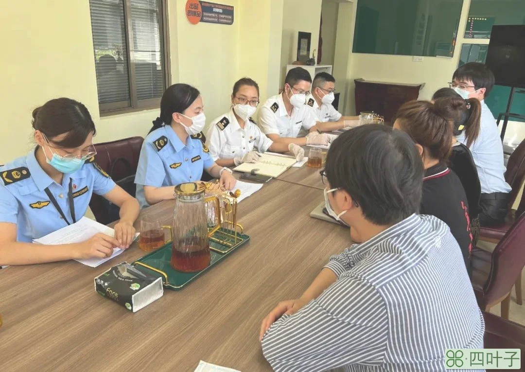 压缩重复检查内容，缩短检查时间！金山这两个部门成立了……