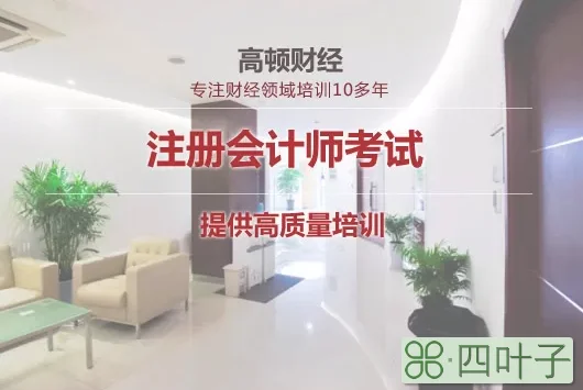 会计的工作内容_只有会计从业资格证好找工作吗_会计从业与初级会计内容差别