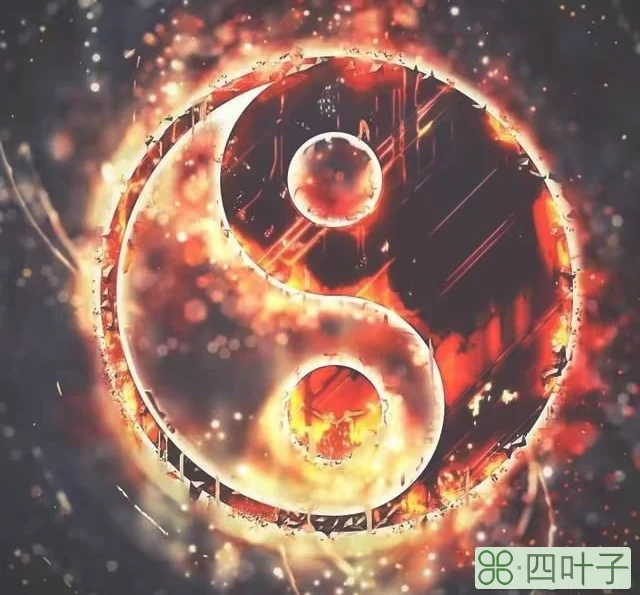 五行中的金木水火土该如何理解？