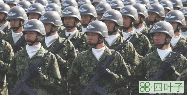 中国陆军兵种规模排名？