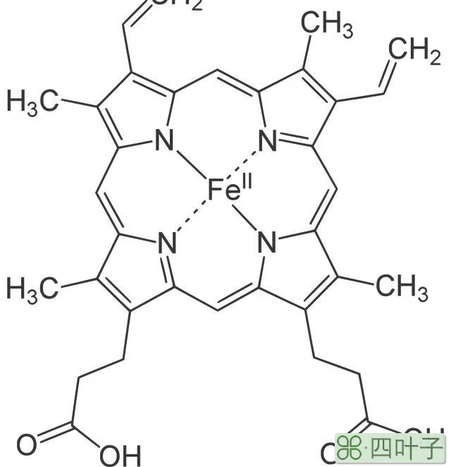 鲎的血液为什么是蓝色的？