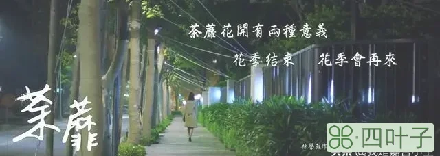 如果你是《荼蘼》里的郑如薇（杨丞琳饰），会做何选择，为什么？