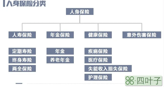 中国人寿保险种类介绍