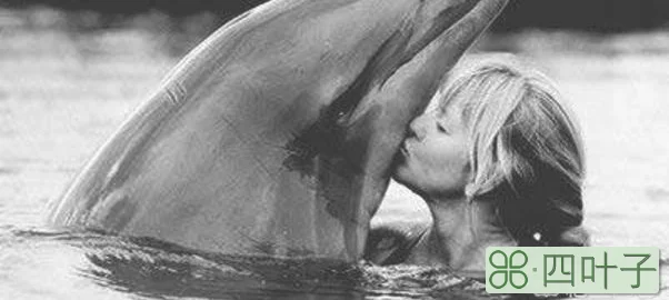 “自古就有海豚救人”，你知道海豚为什么会救人吗？
