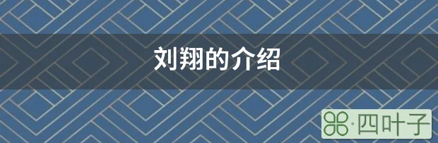 刘翔的介绍