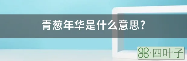 青葱年华是什么意思?