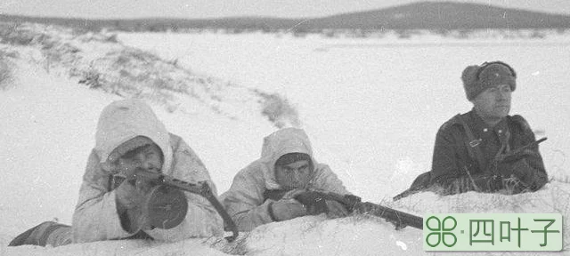 二战：看芬兰如何以少胜多，芬兰全歼苏联王牌师