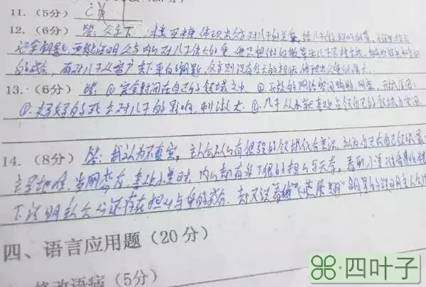 考研英语分数线会下降？政治较乐观！数学降线可能性小