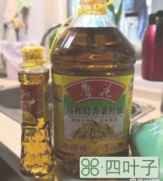 现在家里最好吃什么食用油？