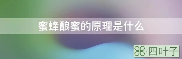 蜜蜂酿蜜的原理是什么