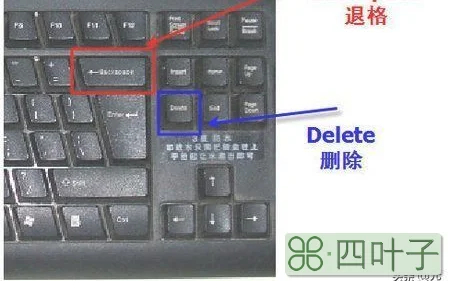 backspace键在电脑键盘上哪个地方啊？