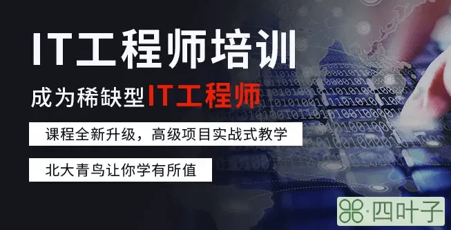 退伍以后能做什么，退伍军人学什么技术好?