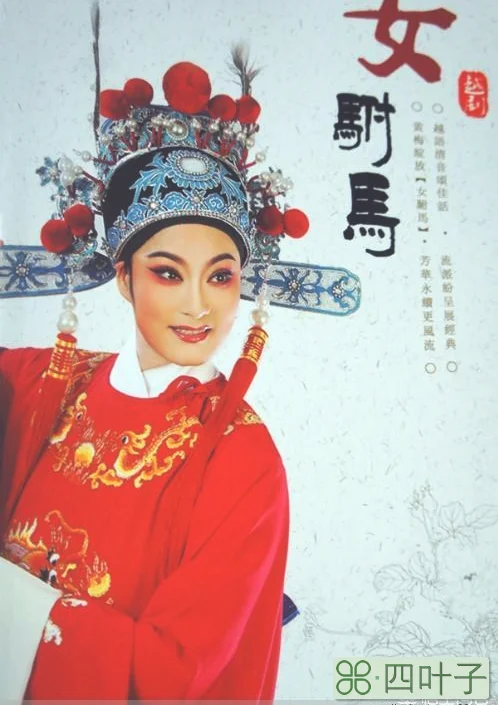 中国古代有女驸马吗？她的历史背景又是怎样的呢？