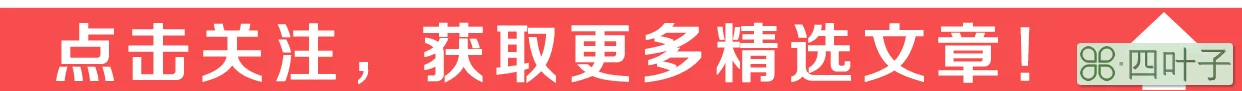 南航退出天合联盟，“联盟”到底啥意思？