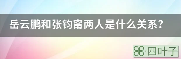 岳云鹏和张钧甯两人是什么关系？