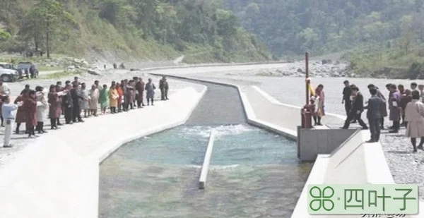 尼泊尔之后，不丹也切断水源，印度是不是慌了？