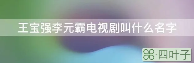 王宝强李元霸电视剧叫什么名字