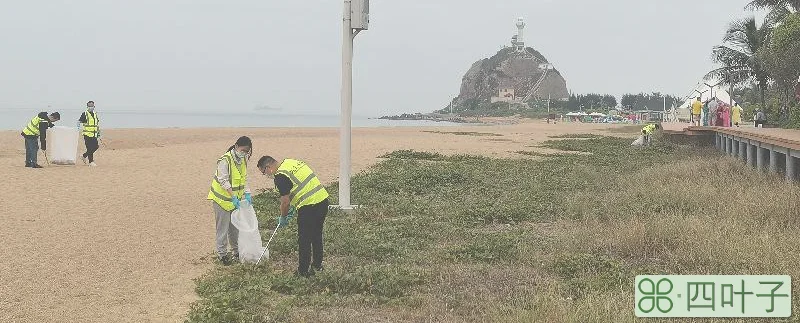 看：是谁在海滩上学雷锋？