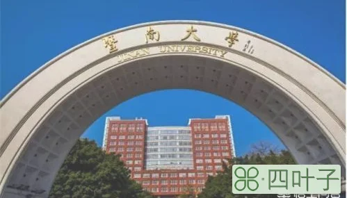 女儿今年考入暨南大学会计学专业，前景怎么样呢？因为不知道让孩子到底学什么专业好？