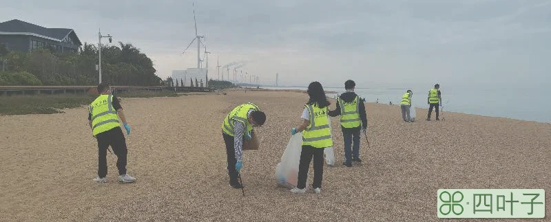 看：是谁在海滩上学雷锋？