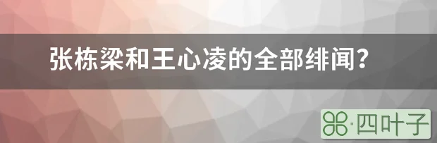 张栋梁和王心凌的全部绯闻？