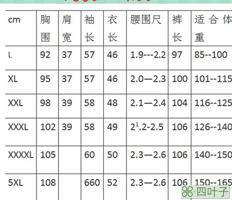 腰围2尺3是多少码裤子_28码裤子是多少尺_裤子尺码换算