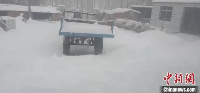 内蒙古特大暴雪:学校停课机场关闭 辽宁鞍山暴雪市民穿滑雪板出街