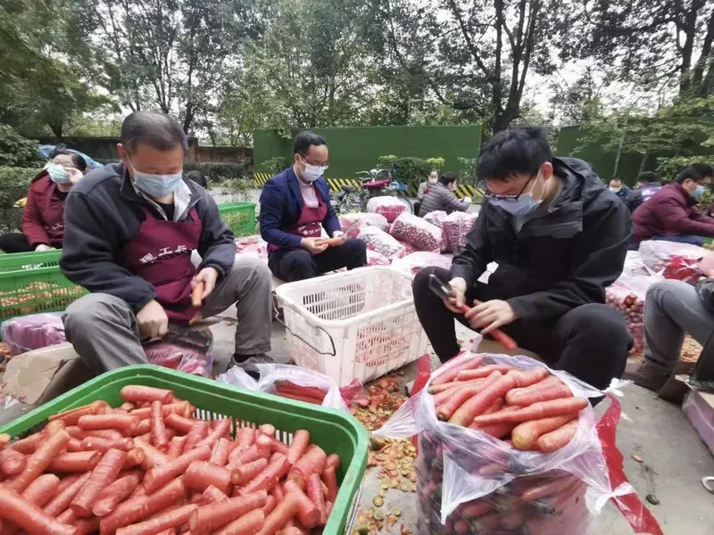 我的博导去削萝卜了！帮厨界学历天花板,真实情况介绍