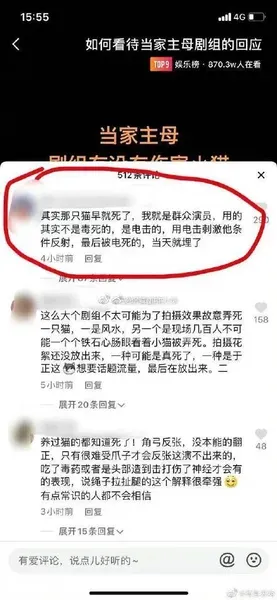 当家主母小猫事件后续：当家主母群演称猫被电死