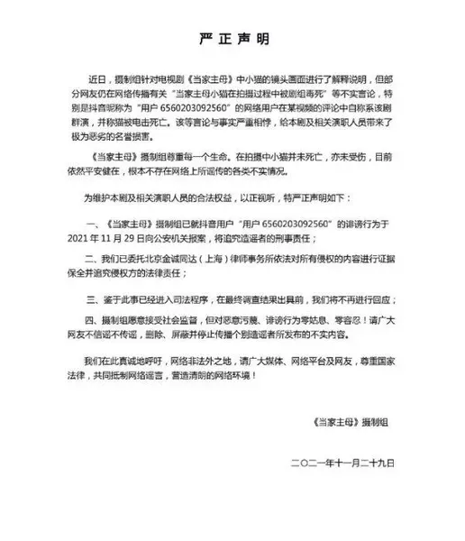 群演称猫被电死,当家主母剧组报案 当家主母小猫事件始末