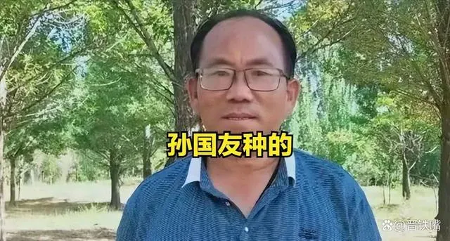 孙国友种的是什么树 孙国友为什么种乔木