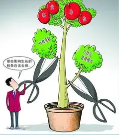 2023新一轮事业单位改革,《河南省事业单位改革发展条例》审议通过，2023年1月1日起施行