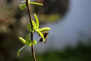 你拍的哪些照片，让你感觉春天来了？,你拍过的最美的「春天」的照片是哪张？欢迎评论PK晒图分享吖